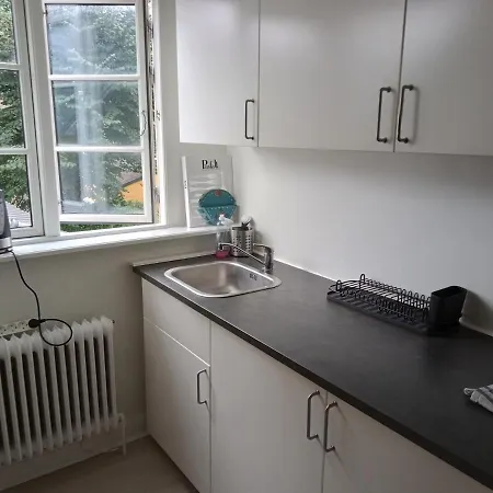 Professor Labri Apartment Odense