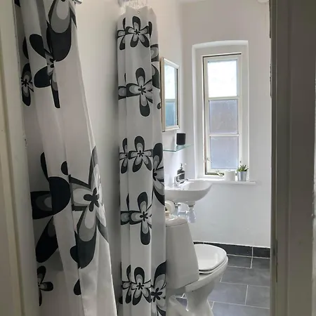 Professor Labri 오덴세