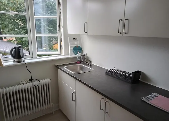 Professor Labri Apartamento Odense
