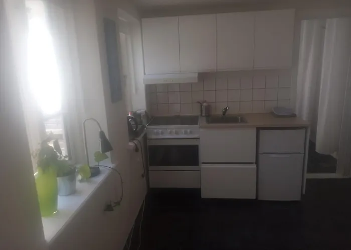 Professor Labri Apartamento Odense